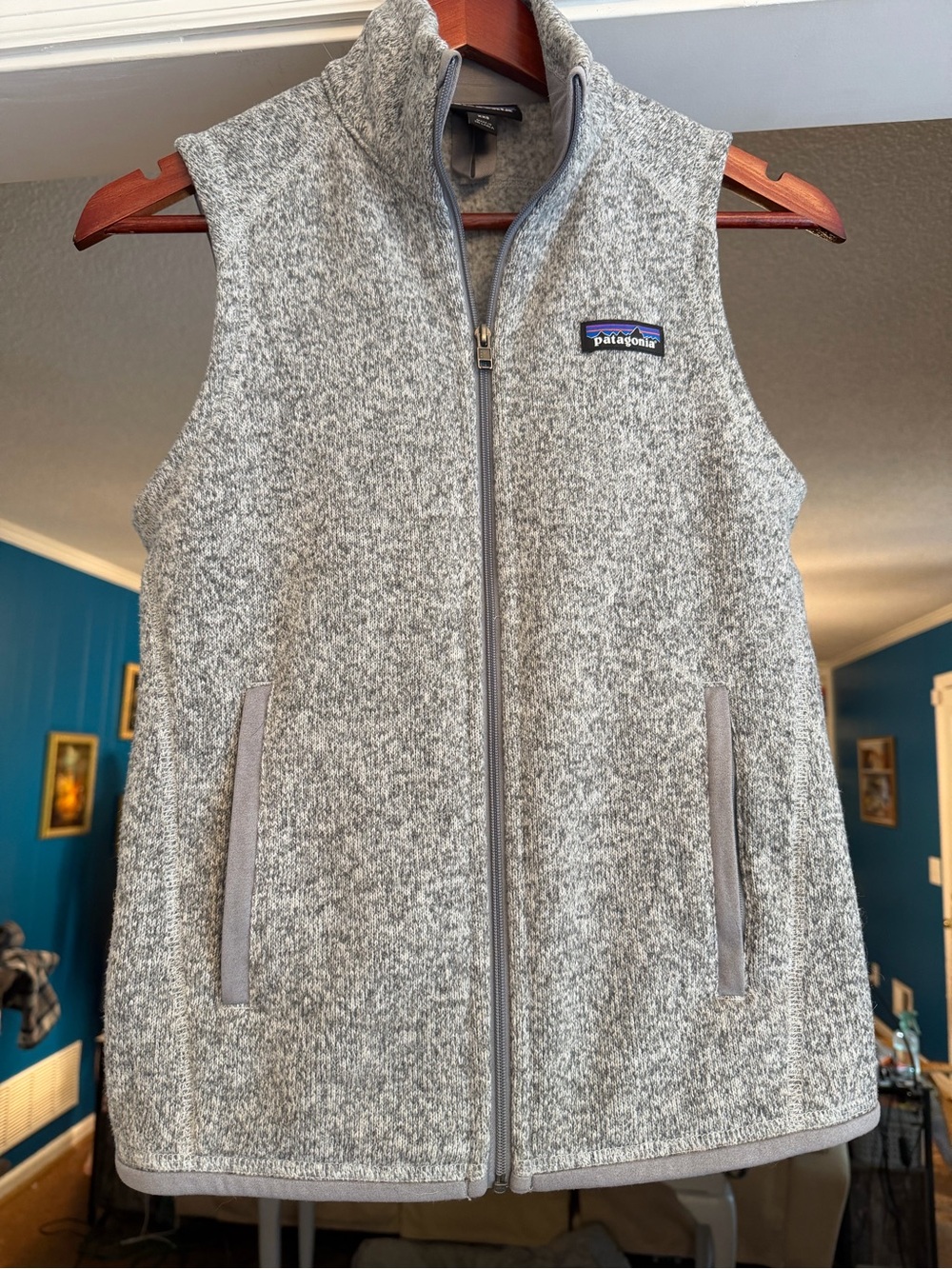 Patagonia Heather Gray Full-Zip Women's Fleece Vest